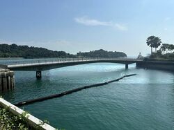 The Reef At King’s Dock (D4), Condominium #508497231